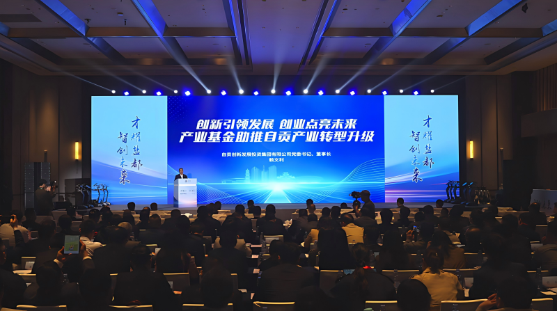 自贡创发集团党委书记、董事长赖文利在2026自贡人才创新发展大会作“自贡市产业转型升级引导基金”推介